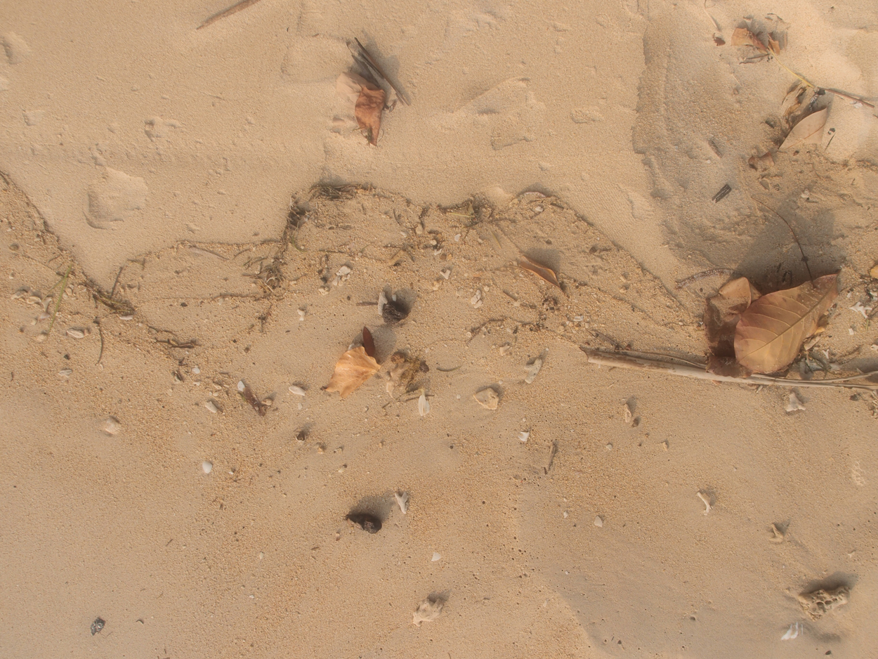 2015-09-29 Sand (Komposition) (Foto) 